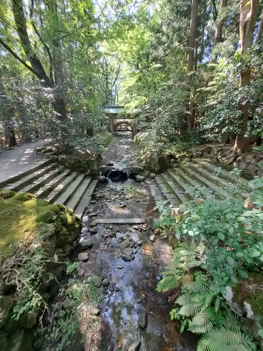 彌彦神社(新潟県)