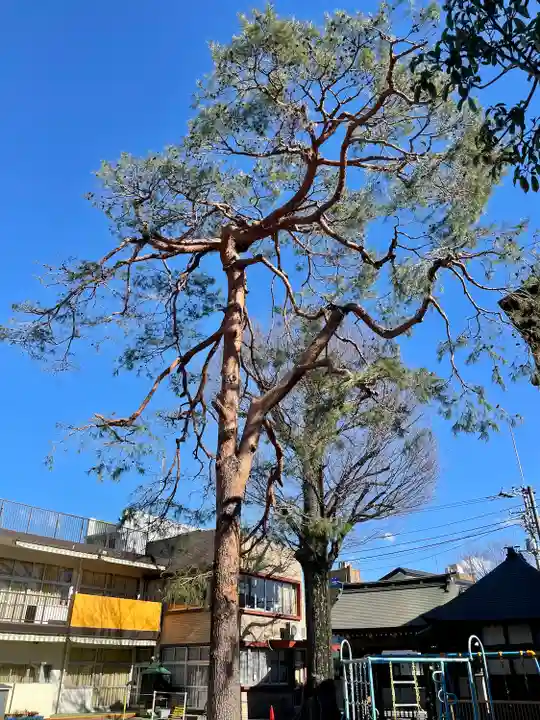 覺願寺(東京都)