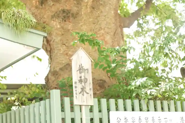 二宮神社(兵庫県)