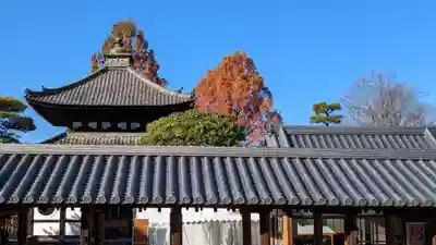 東福禅寺(東福寺)(京都府)