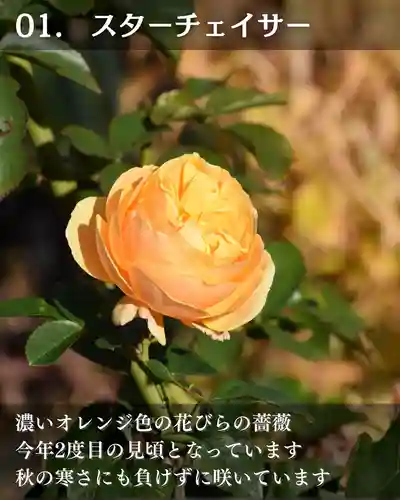 宝光寺(北海道)