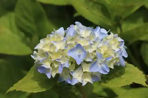 国宝 大法寺の自然