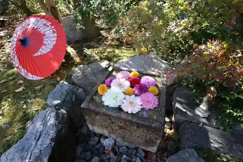 勝林寺(京都府)