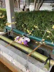 伊和志津神社の手水