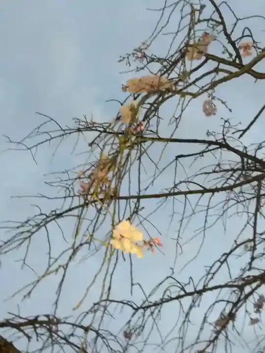 稱名寺(神奈川県)