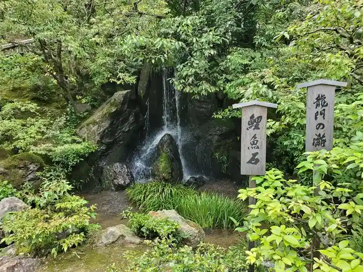 鹿苑寺(金閣寺)の自然