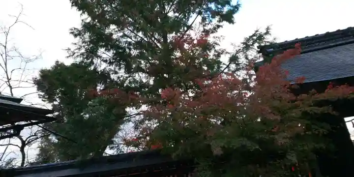 月読神社(松尾大社摂社)の自然