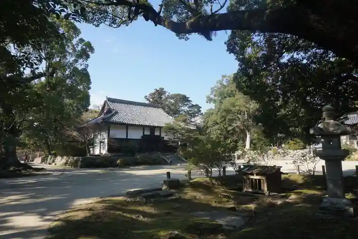 観世音寺の自然