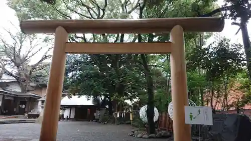 乃木神社の鳥居
