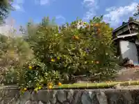 法輪寺(神奈川県)