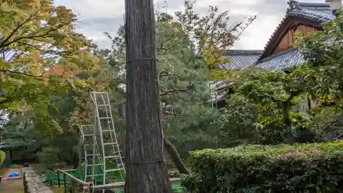 孤篷庵(京都府)