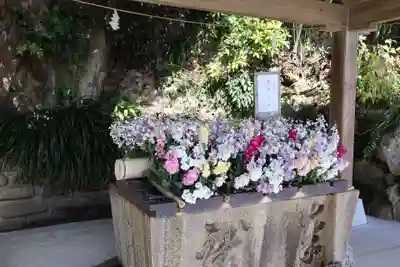 鵜戸神宮(宮崎県)