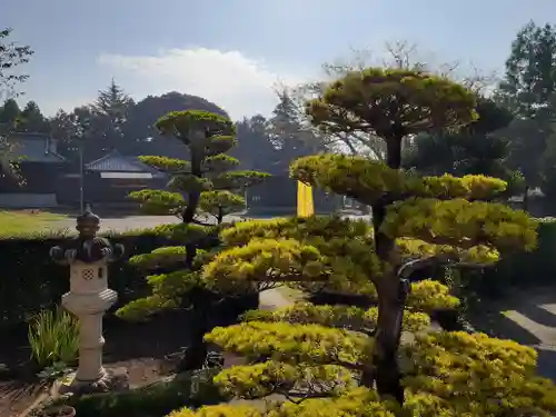 伏木香取神社(茨城県)