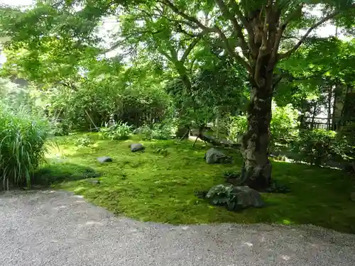 常福寺の庭園