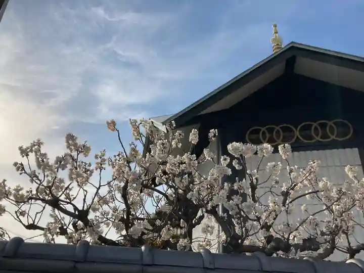 阿彌陀寺のその他建物