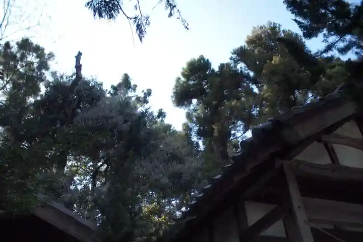 金鑚神社のその他建物