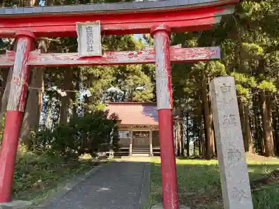白籏神社の{uncategorized: "未分類", other: "その他", undefined: "問題あり", building: "その他建物", grave: "お墓", sacred_gate: "鳥居", guardian: "狛犬", statue: "像", buddha: "仏像", history: "歴史", nature: "自然", garden: "庭園", animal: "動物", pagoda: "塔", temizu: "手水舎", mountain_gate: "山門・神門", sanctuary: "本殿・本堂", subordinate: "末社・摂社", art: "芸術", scenery: "景色", jizo: "地蔵", ema: "絵馬", goshuin: "御朱印", omikuji: "おみくじ", items: "授与品その他", amulet: "お守り", goshuincho: "御朱印帳", eats: "食事", festival: "お祭り", votive_dance: "神楽", shichigosan: "七五三参", wedding: "結婚式", experience: "体験その他", initially: "初詣", around: "周辺", anti_infection: "感染症対策"}