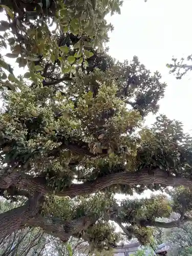 薭田神社(東京都)