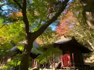 普門寺(切り絵御朱印発祥の寺)(愛知県)(2023年11月22日(水) 12時16分24秒投稿)