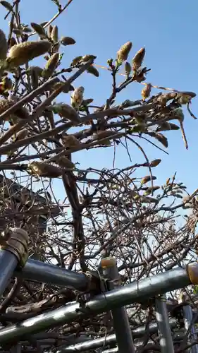 極楽山　浄土寺の自然