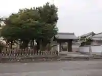 大円寺の山門・神門