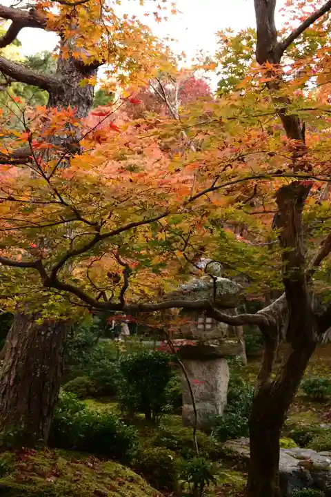 圓光寺(京都府)
