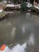 三島神社の自然