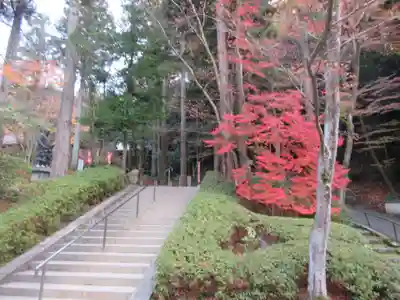 今熊野観音寺のその他建物