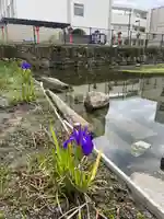 杭全神社(大阪府)