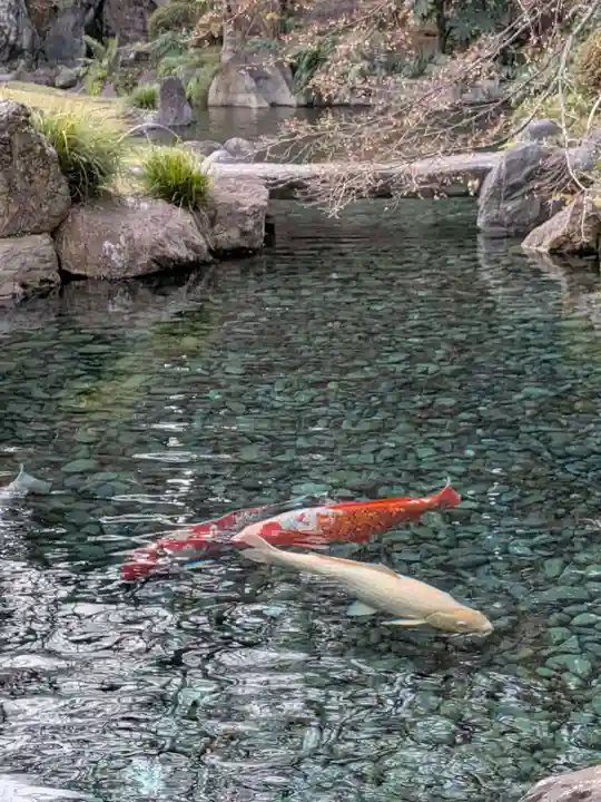 靖國神社(東京都)