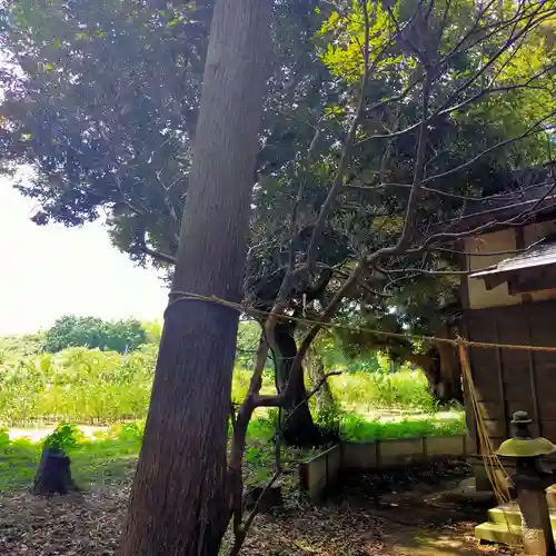 火皇子神社(千葉県)