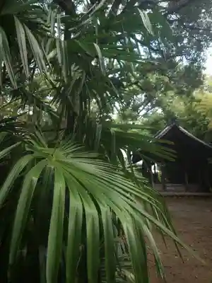 白髭社(愛知県)