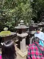 春日大社 若宮(春日若宮)(奈良県)