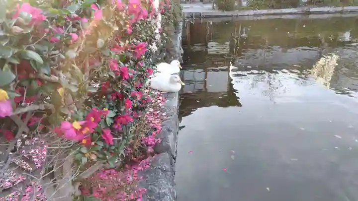 神泉苑(京都府)