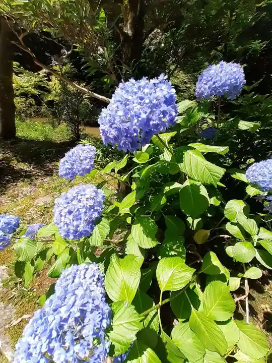 王竜寺(奈良県)