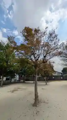 史跡 西寺趾(京都府)