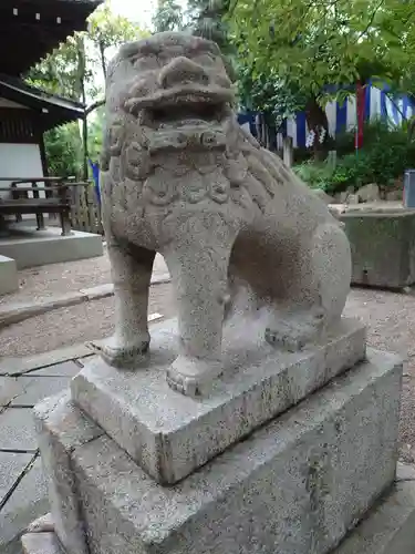 安居神社の狛犬