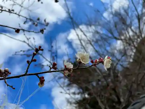 毘沙門堂門跡の自然
