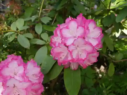 明王院（満願寺別院）の自然