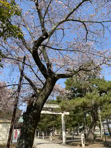 竹駒神社の自然