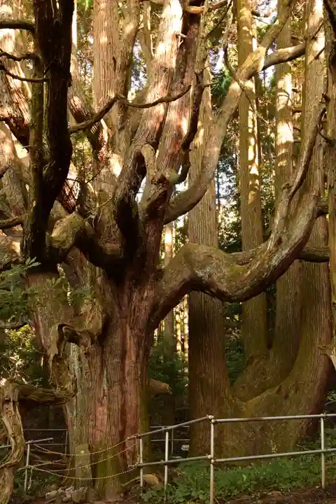祖母神社(熊本県)