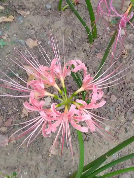 横浜 西方寺(神奈川県)