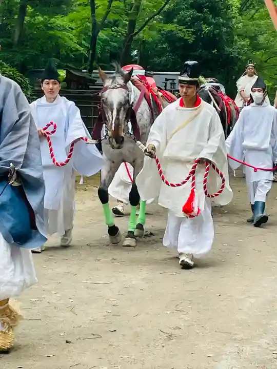 賀茂別雷神社(上賀茂神社)(京都府)
