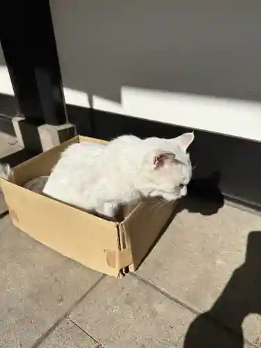 愛宕神社(東京都)