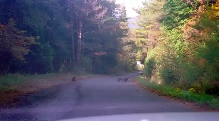 永源寺(滋賀県)