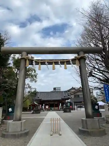 浅草神社の鳥居