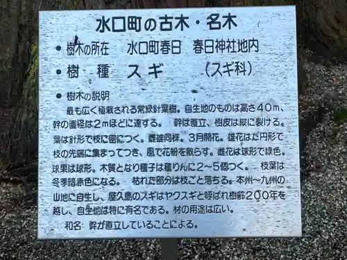 春日神社(滋賀県)