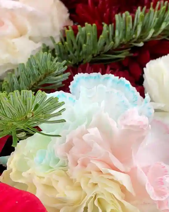 鹿島台神社(宮城県)