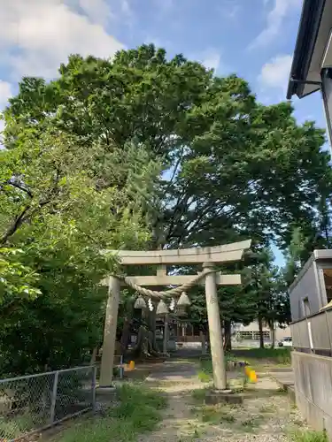 白山比咩神社の鳥居