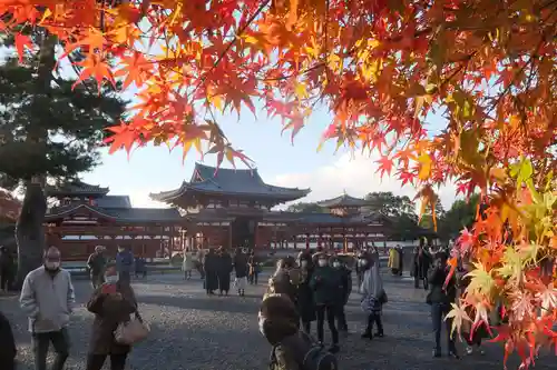 平等院のその他建物